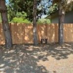 wood privacy fence install